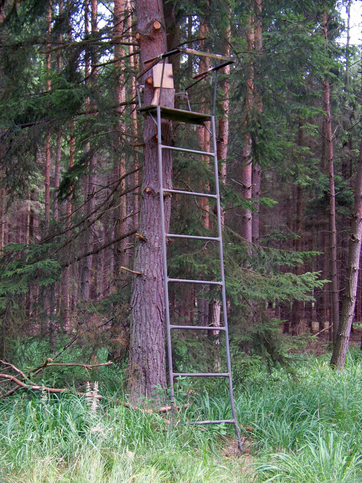 Lightest CLIMBING Tree Stand [January 2024] Lightweight Gear