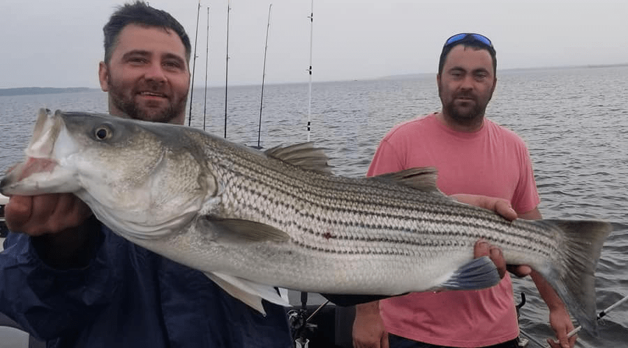Striper Fishing with Live Bait Lake Texoma Guide Aaron Sharp