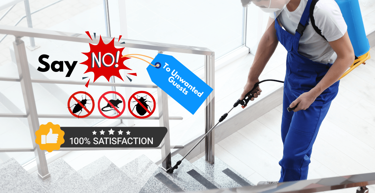 Best Pest Control Bangalore Pest Control Services in Bangalore