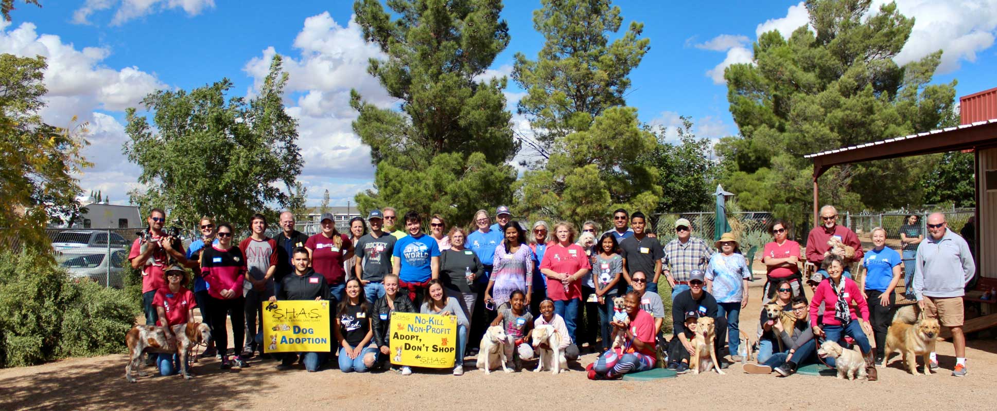Las Cruces Pet Adoption & No Kill Shelter Safe Haven Animal Sanctuary