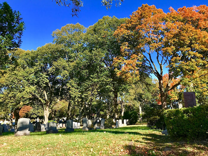 Flushing Cemetery Shastone Memorials