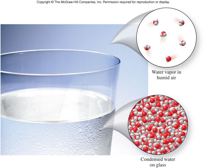 Chapter 1 Presentation