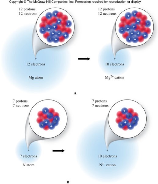 Lecture 2 Presentation