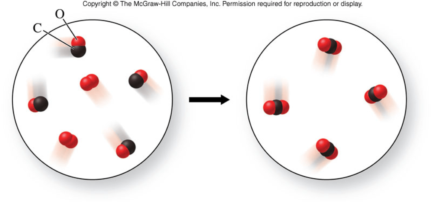 Lecture 5 Presentation