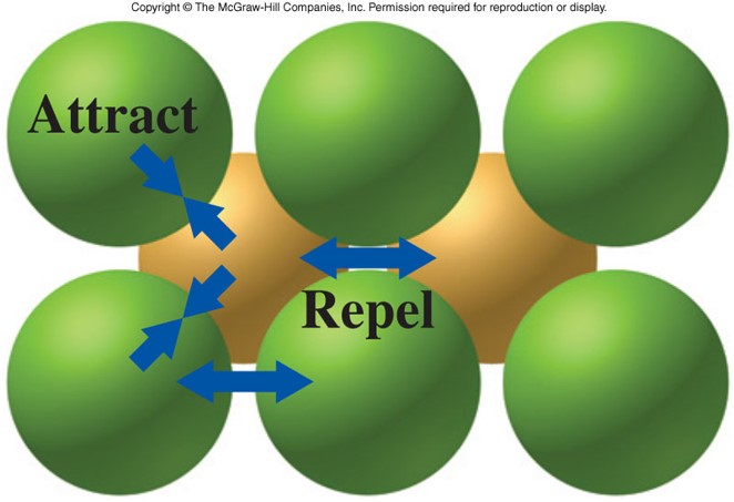 Lecture 8 Presentation