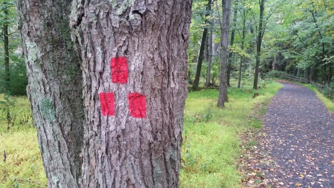 SRT Run/Hike The Long Brown Path