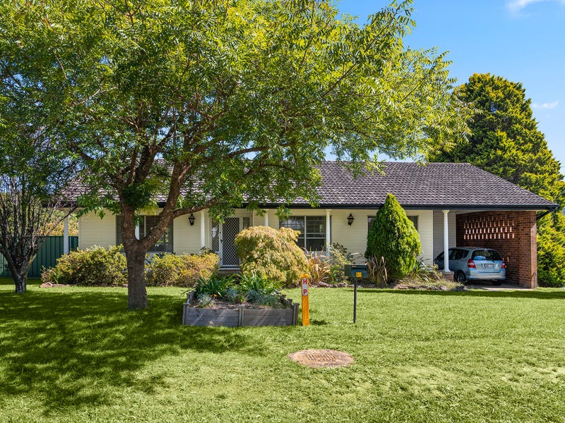 Shaw Landscape Group garden makeover Case Study Part 1