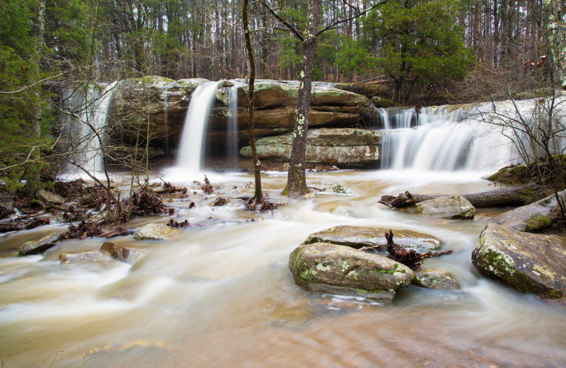 Exploring the Hidden Gems of Shawnee National Forest A Guide to Herod