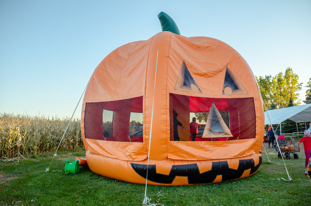 Attractions Shawn's Pumpkin Patch