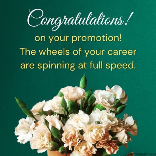 110+ Promotion Wishes Congratulations on Promotion Best Messages