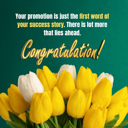 110+ Promotion Wishes Congratulations on Promotion Best Messages