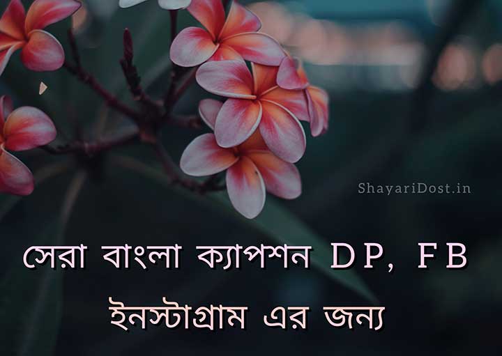 Bengali Caption For Fb Captions Quotes