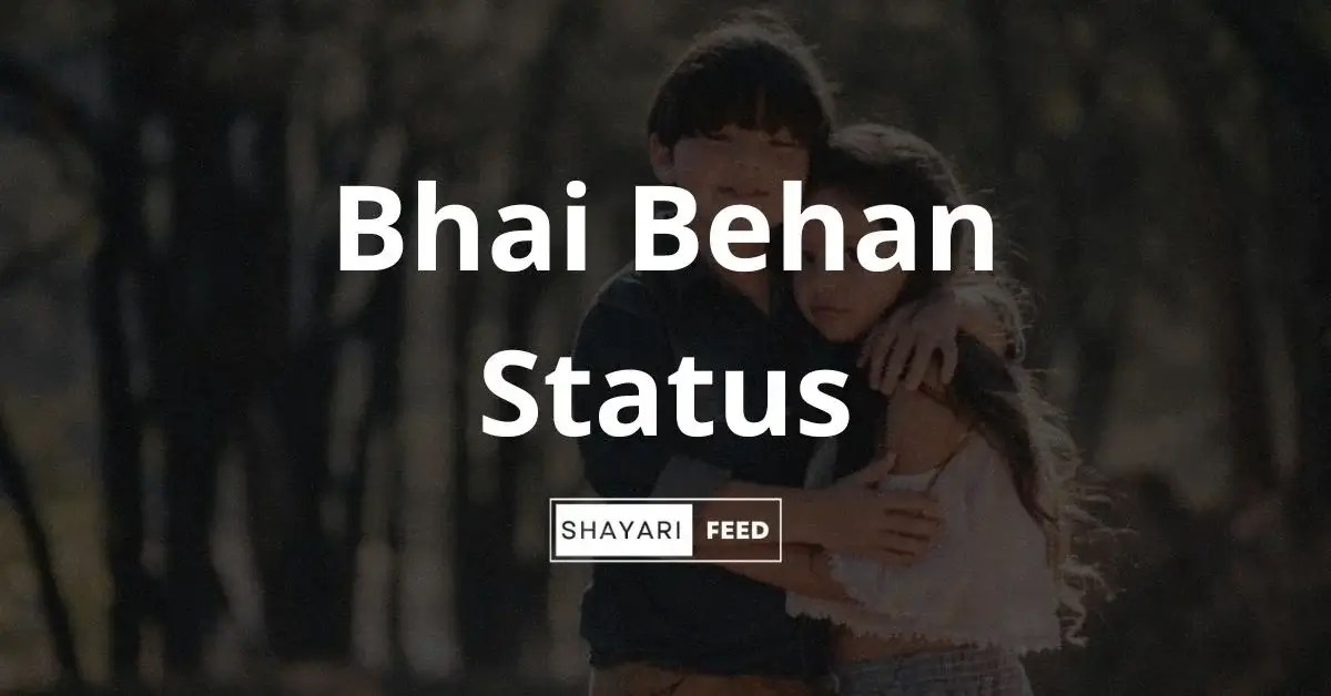 Bhai Behan Status in Hindi (2023) भाई बहन स्टेटस ShayariFeed
