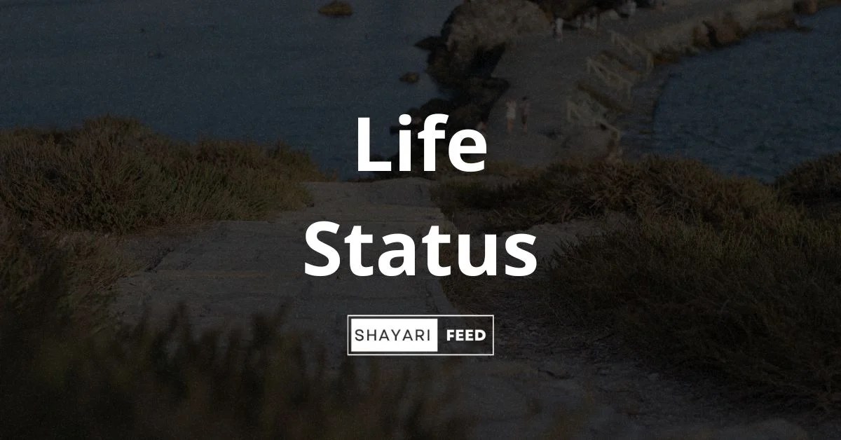 Life Status in Hindi (2024) लाइफ स्टेटस ShayariFeed