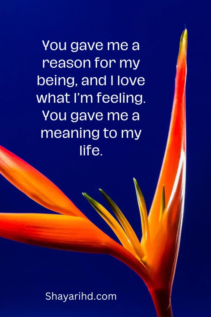 Life Status In English Life Status Life Status For Whatsapp Shayarihd