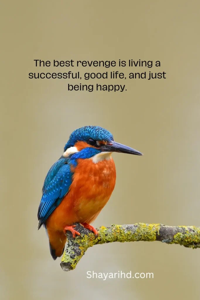 Life Status In English Life Status Life Status For Whatsapp Shayarihd