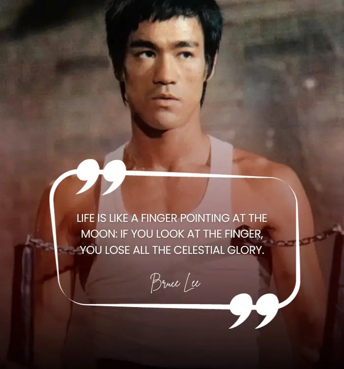 Bruce Lee Quotes 47 Most Famous Bruce Lee Love Quotes Shayarihd