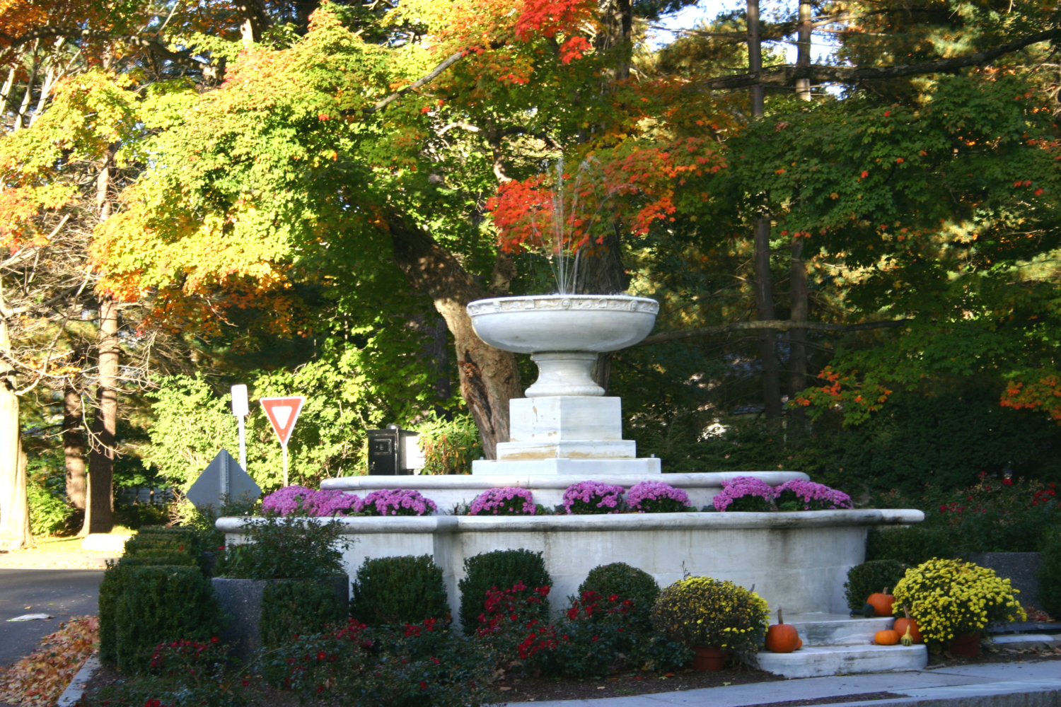 Ridgefield Connecticut Shaylene Neumann CT & NY Real Estate