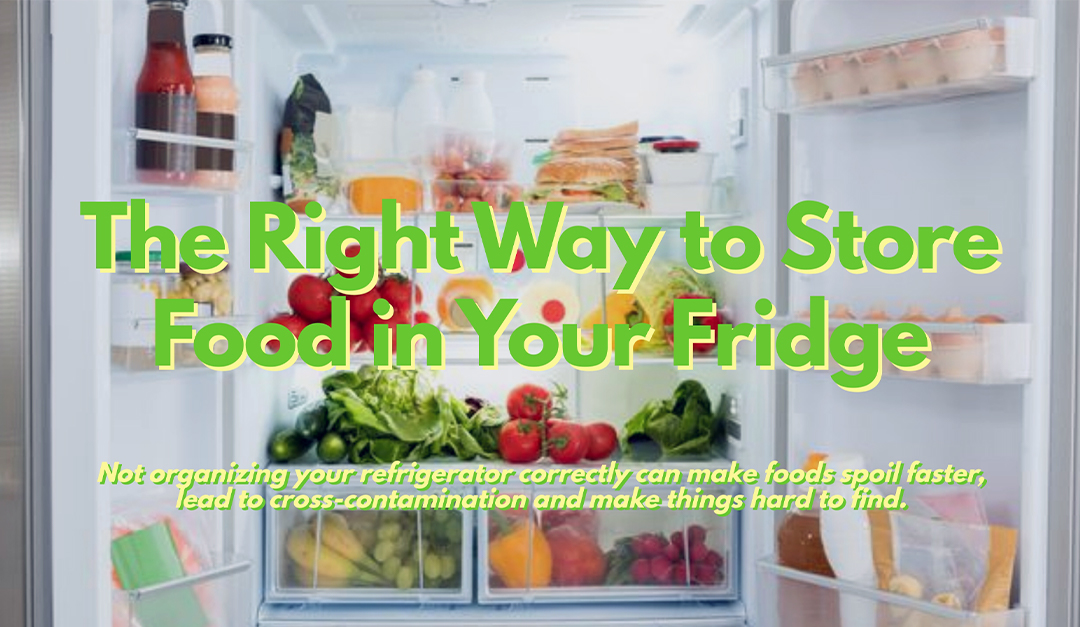 The Right Way to Store Food in Your Fridge Shaylene Neumann CT & NY