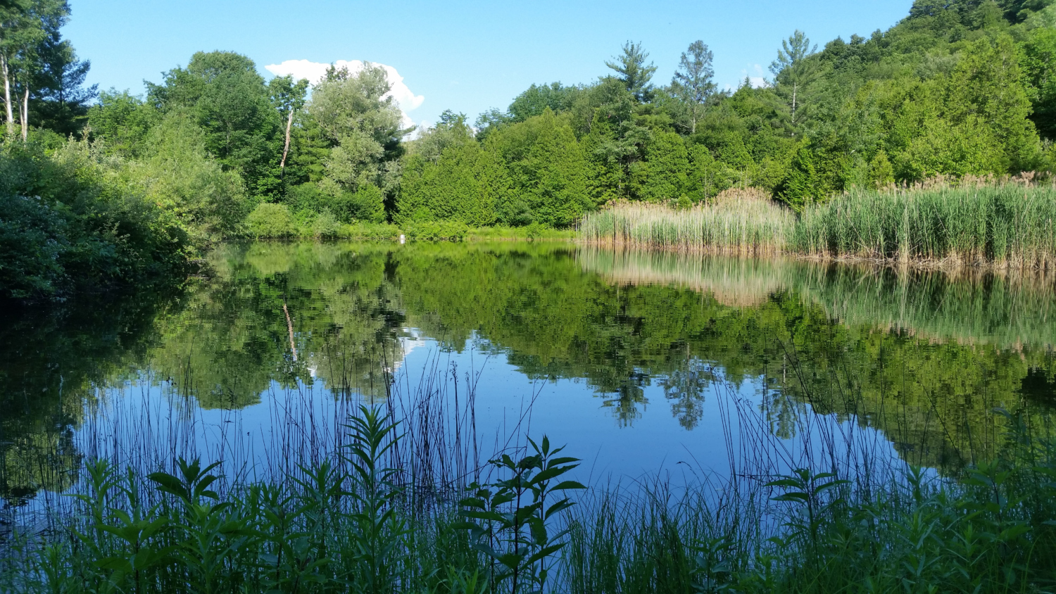 Pleasant Valley, New York Shaylene Neumann CT & NY Real Estate