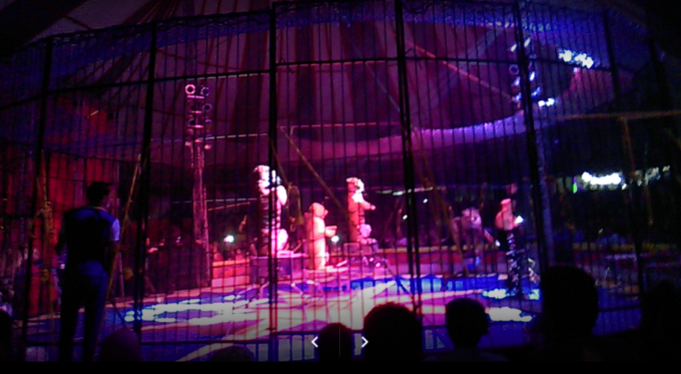 في مطروح.. 5 أماكن ترفيهية هتعجبك أنت وعيلتك وصحابك شبابيك