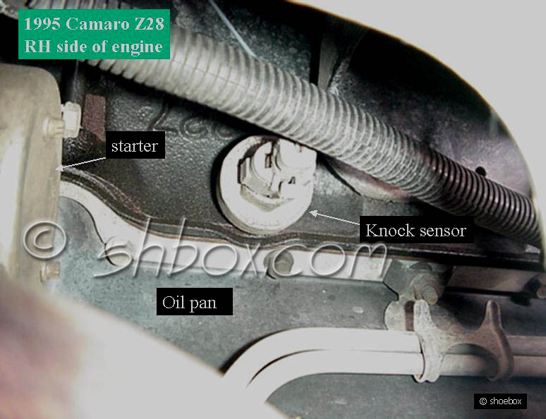 4th Gen LT1 FBody Location Views