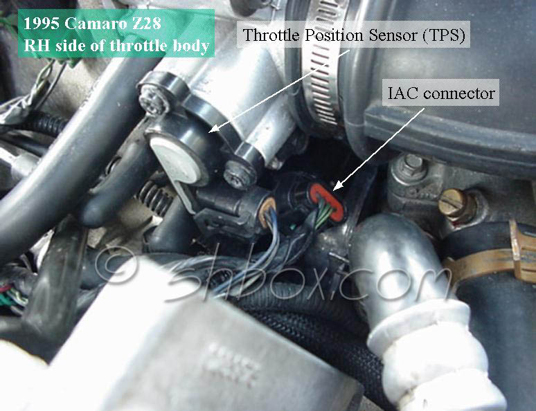 4th Gen LT1 FBody Location Views