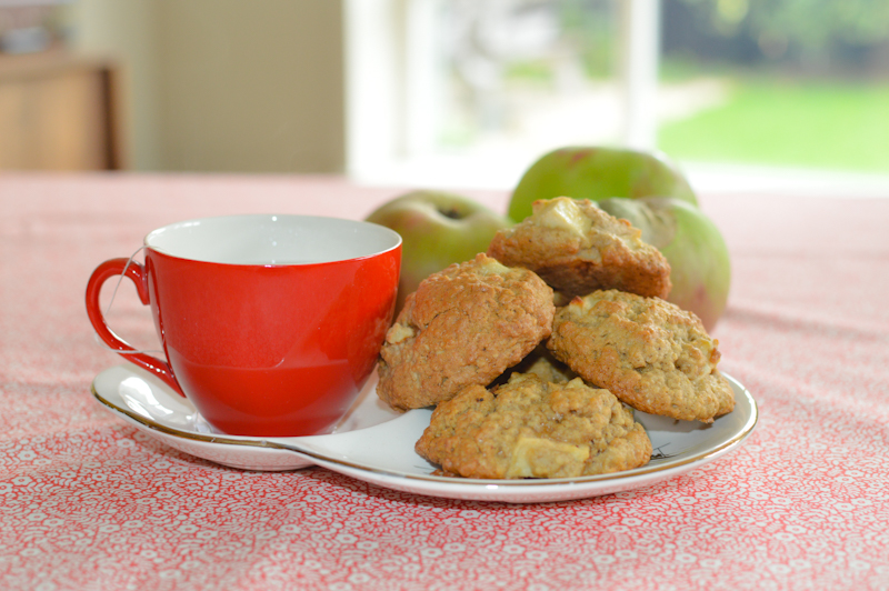 Apple Oat Cookies ⋆ SHE EATS