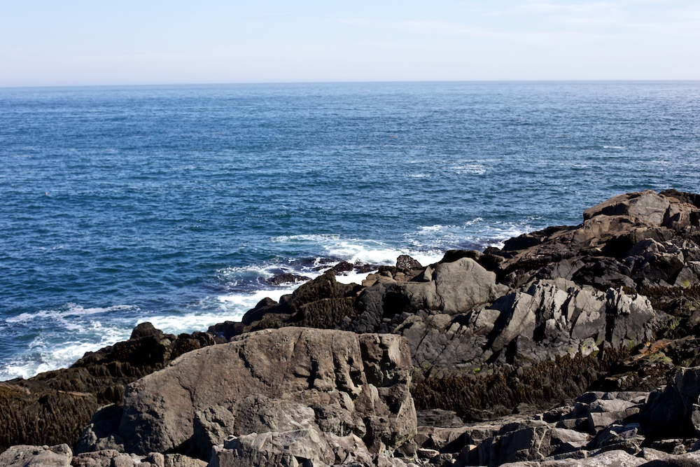 Cutler Coast — She Explores