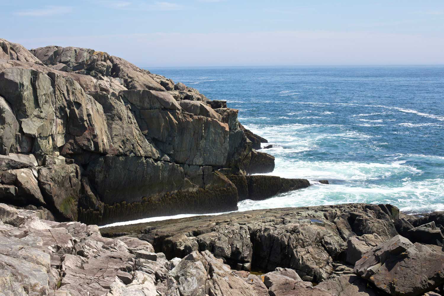 Cutler Coast — She Explores Women in the outdoors.