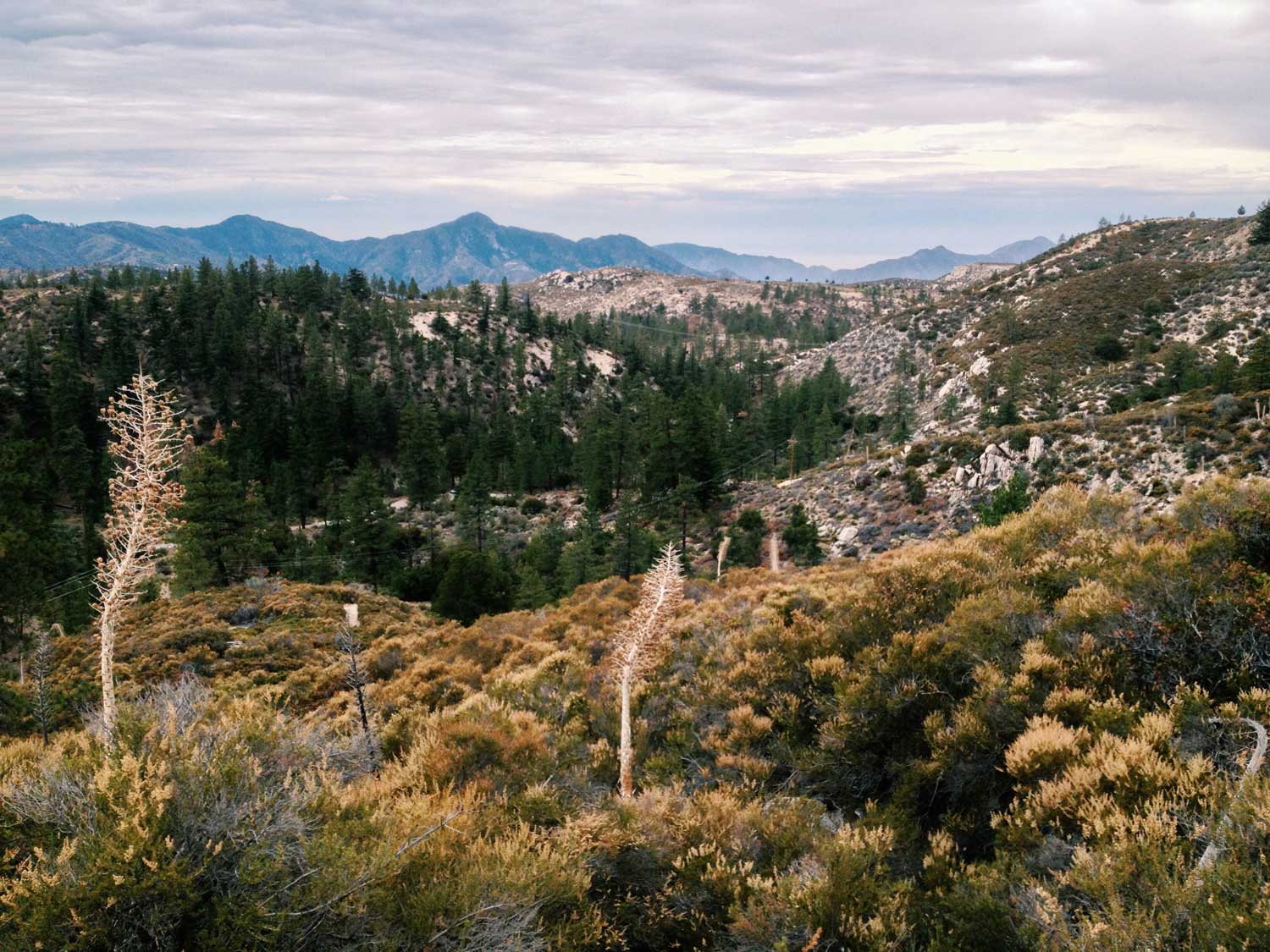 Angeles National Forest — She Explores