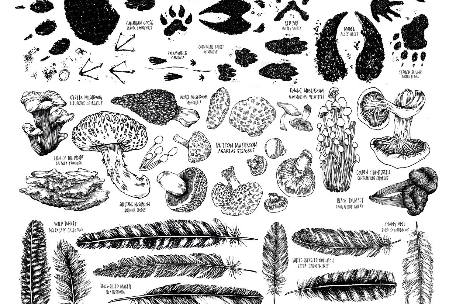 Lucy Engelman — She Explores