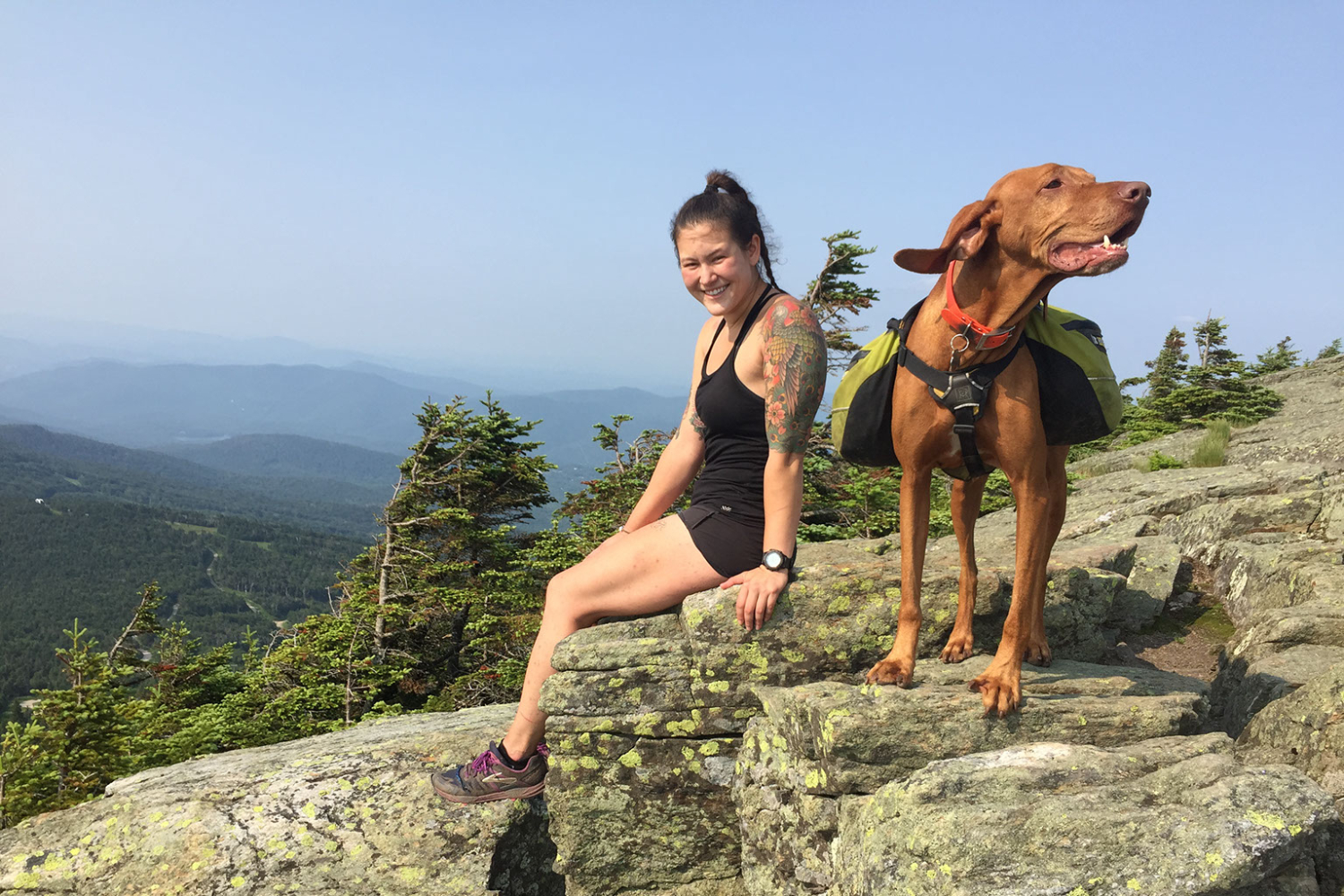 Where Are Dogs Not Allowed On The Appalachian Trail