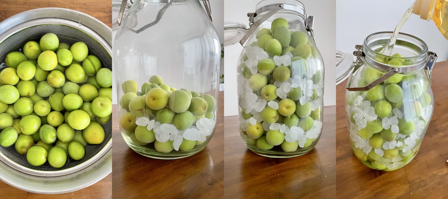 Ume Syrup Green Plum Syrup (BEST SUMMER DRINK) she.tokyo