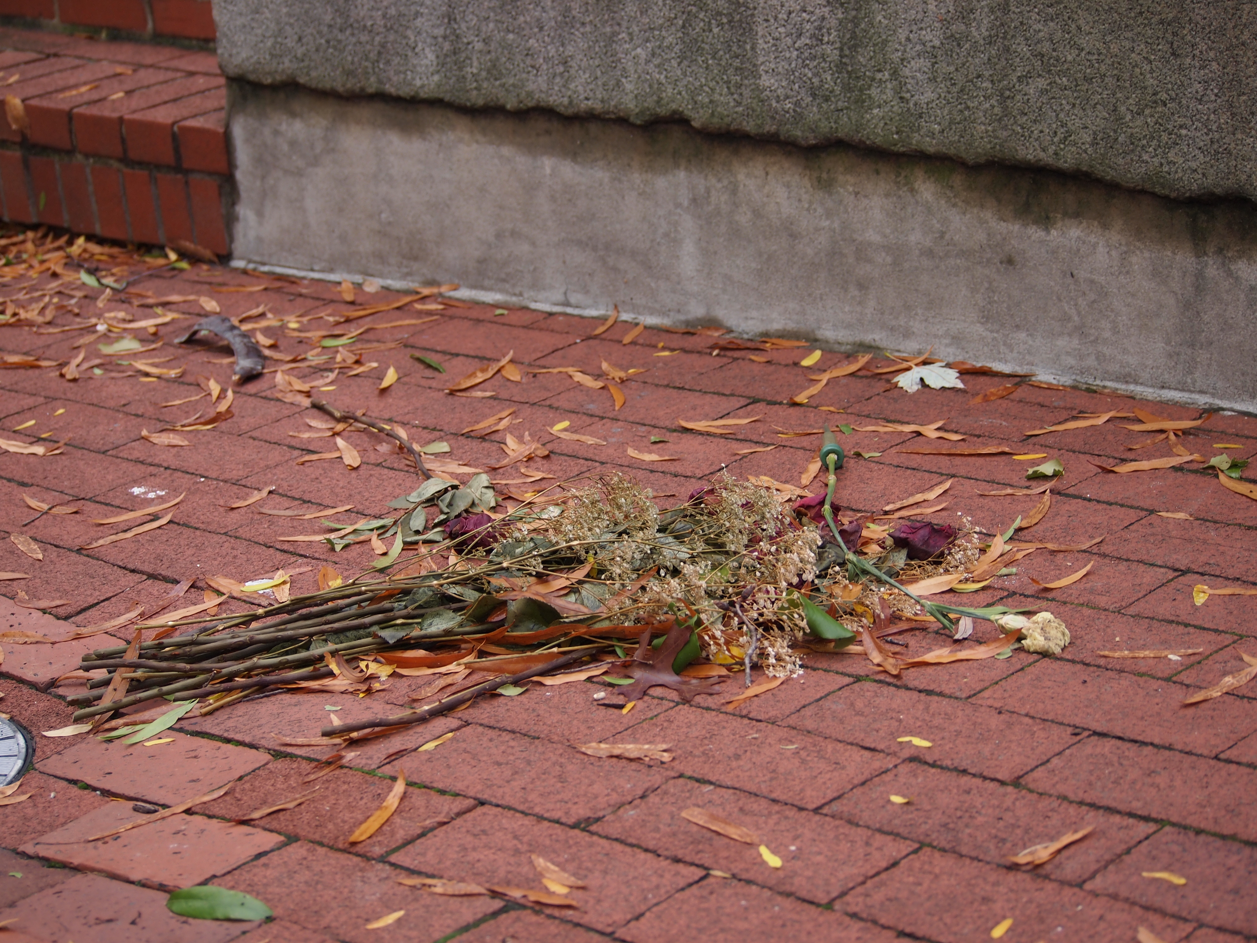 Let’s go to Edgar Allan Poe’s Grave, Shall we? — SHEA MAGAZINE