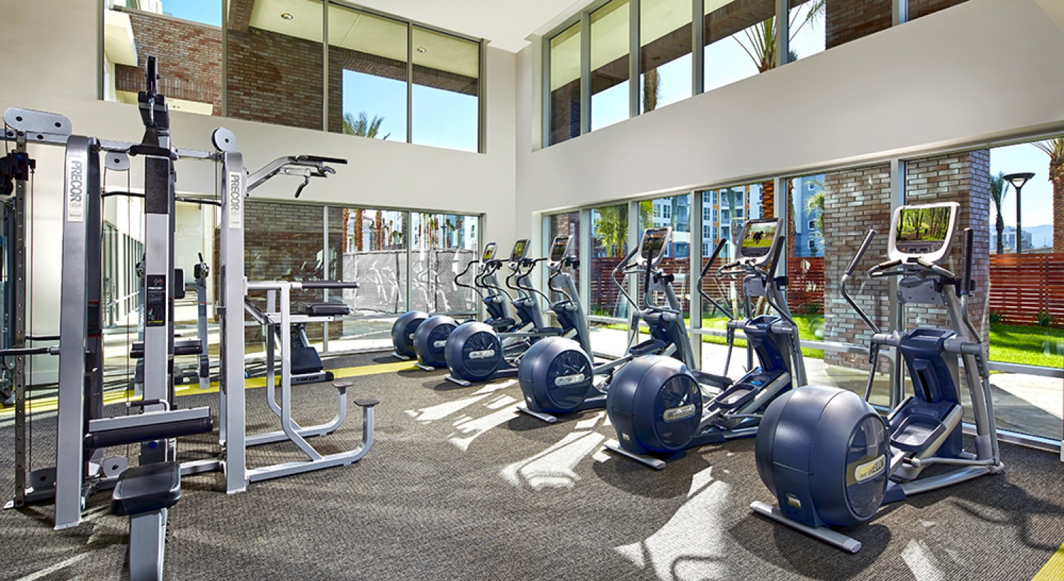 Ascent Shea Properties