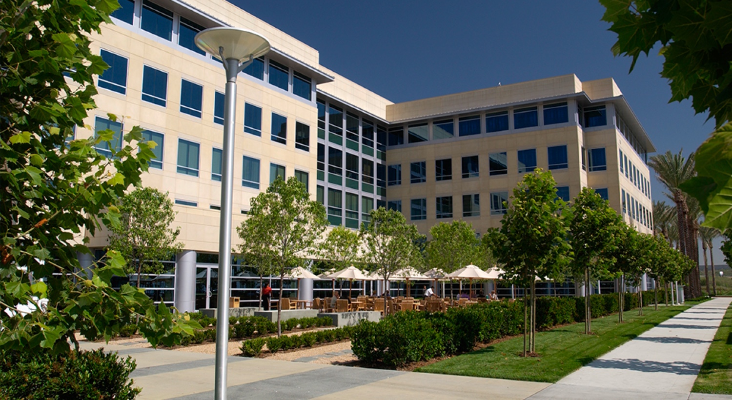 Office Shea Properties