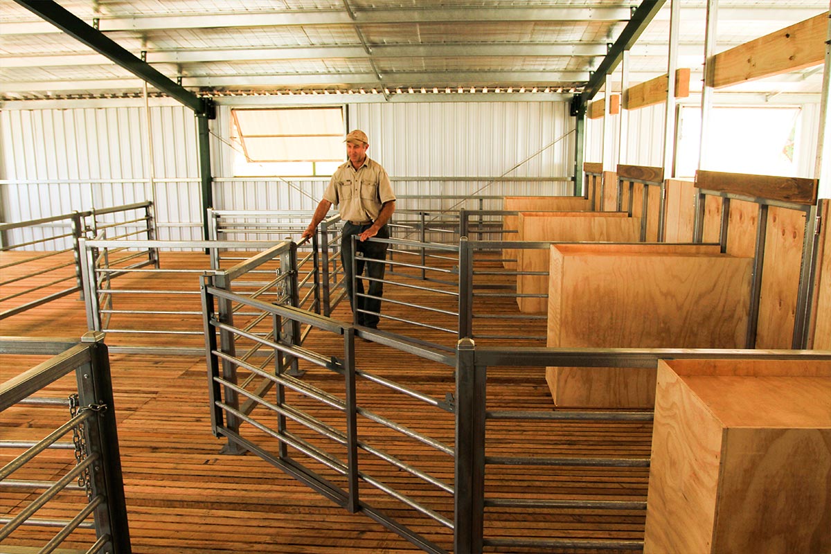 Custom Designs Shearing Shed Solutions Quality, Functional and
