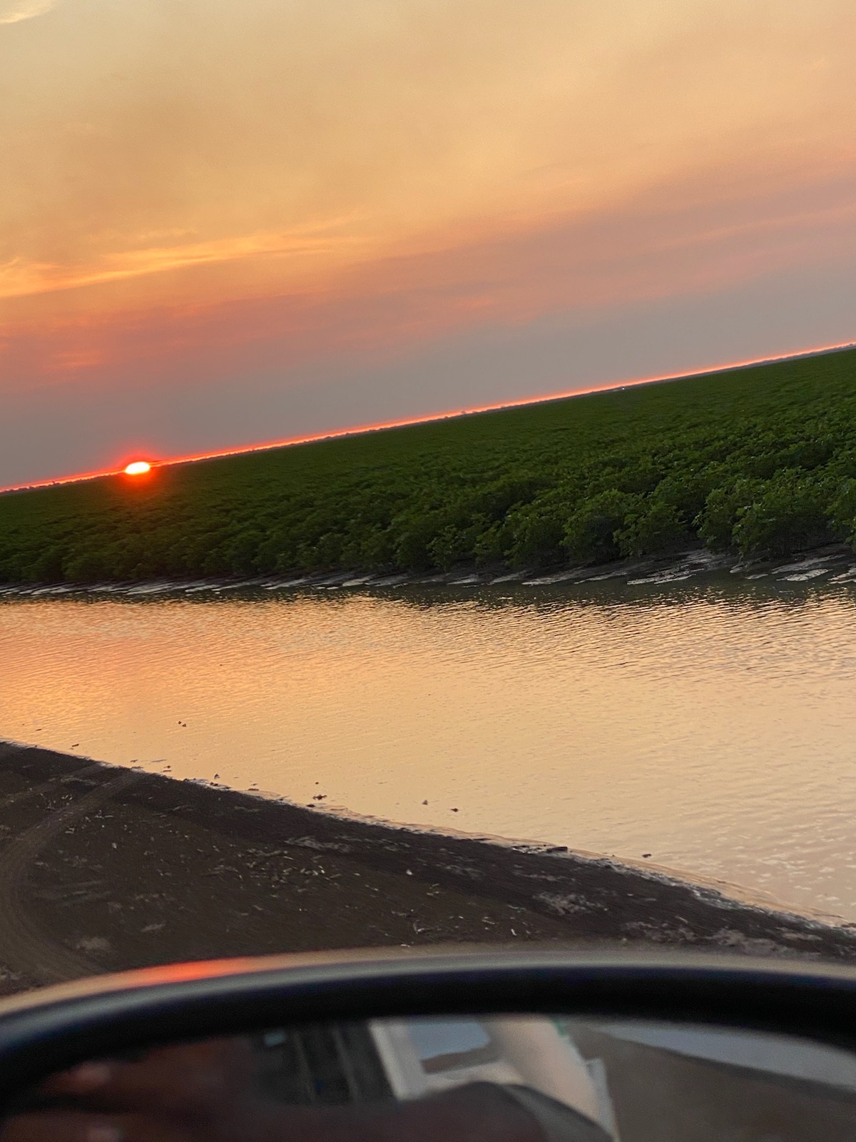 IMMEDIATE START! Shear Power