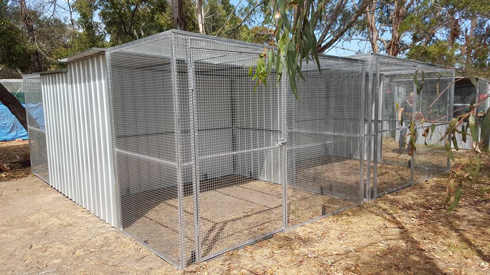 Bird Aviaries Shed Craft