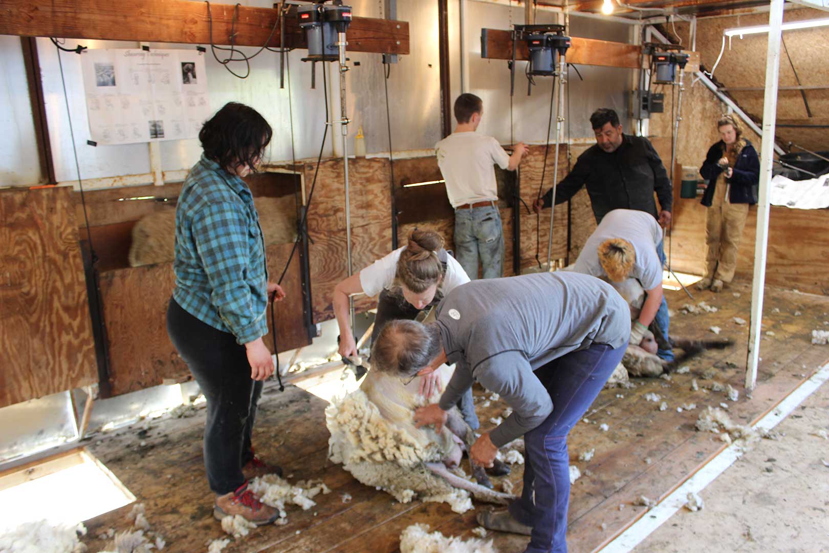 Shearers Food Plant Oregon at Goldie Walton blog