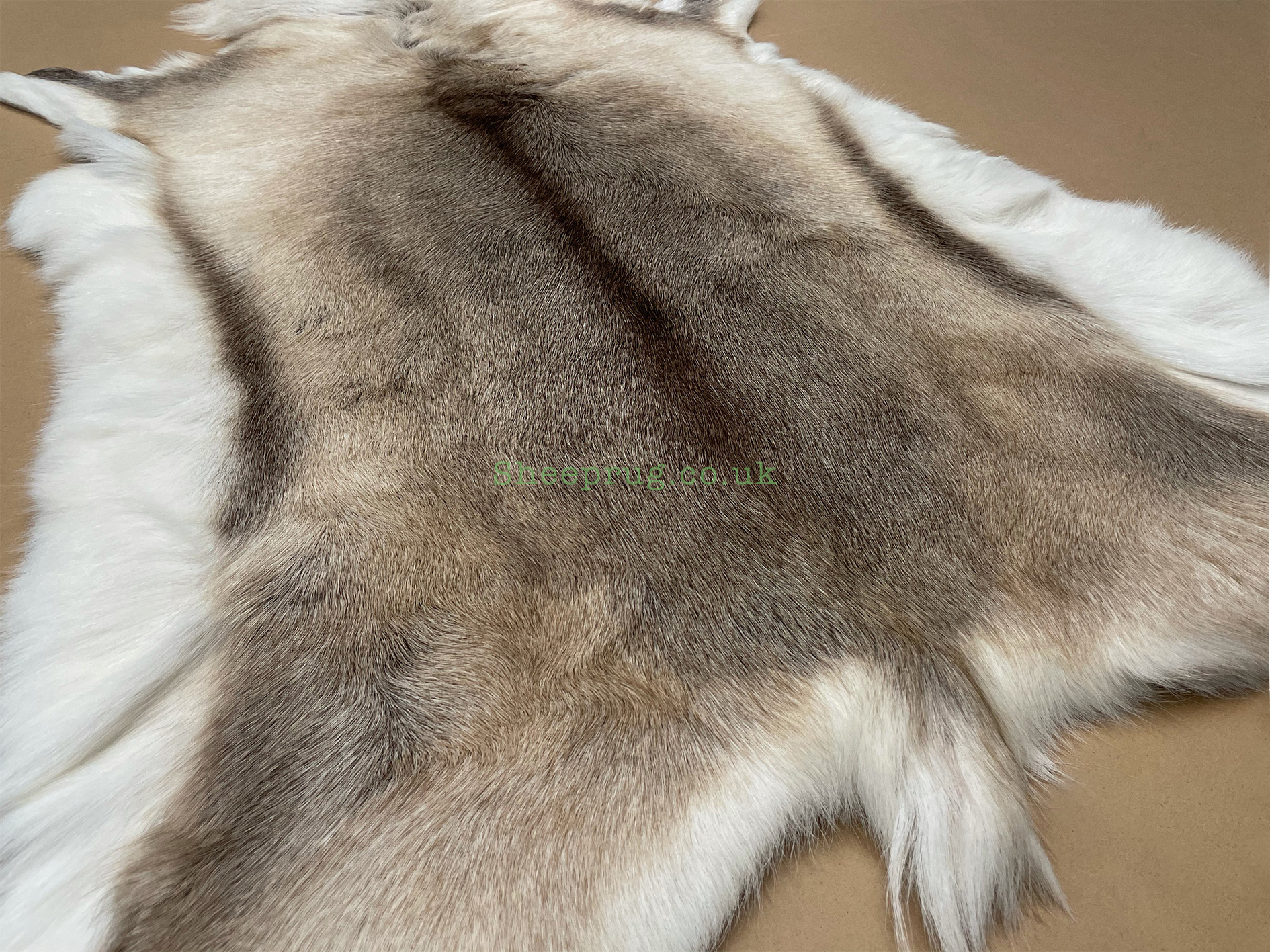 Scandinavian Reindeer rug leather 100 Real soft and fluffy R202004