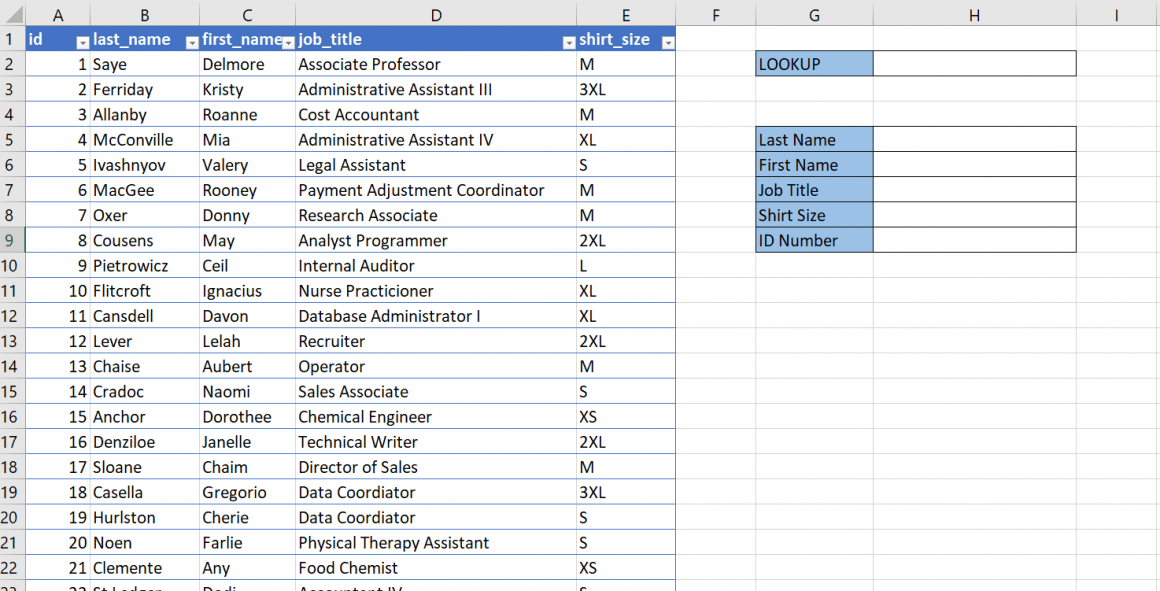 How to Lookup Partial String Match in Excel