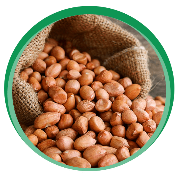 Oil Seeds Sheetal Universal Limited