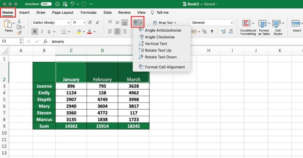 How to Change Text Direction in Excel Sheet Leveller