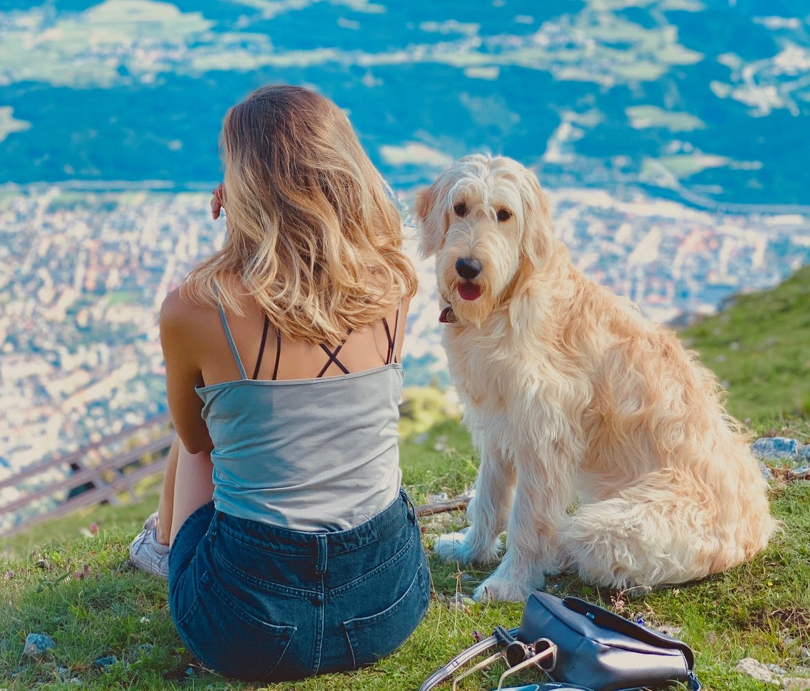 Puppy Mama's Top Things to Do with Your Dog She Explores Life