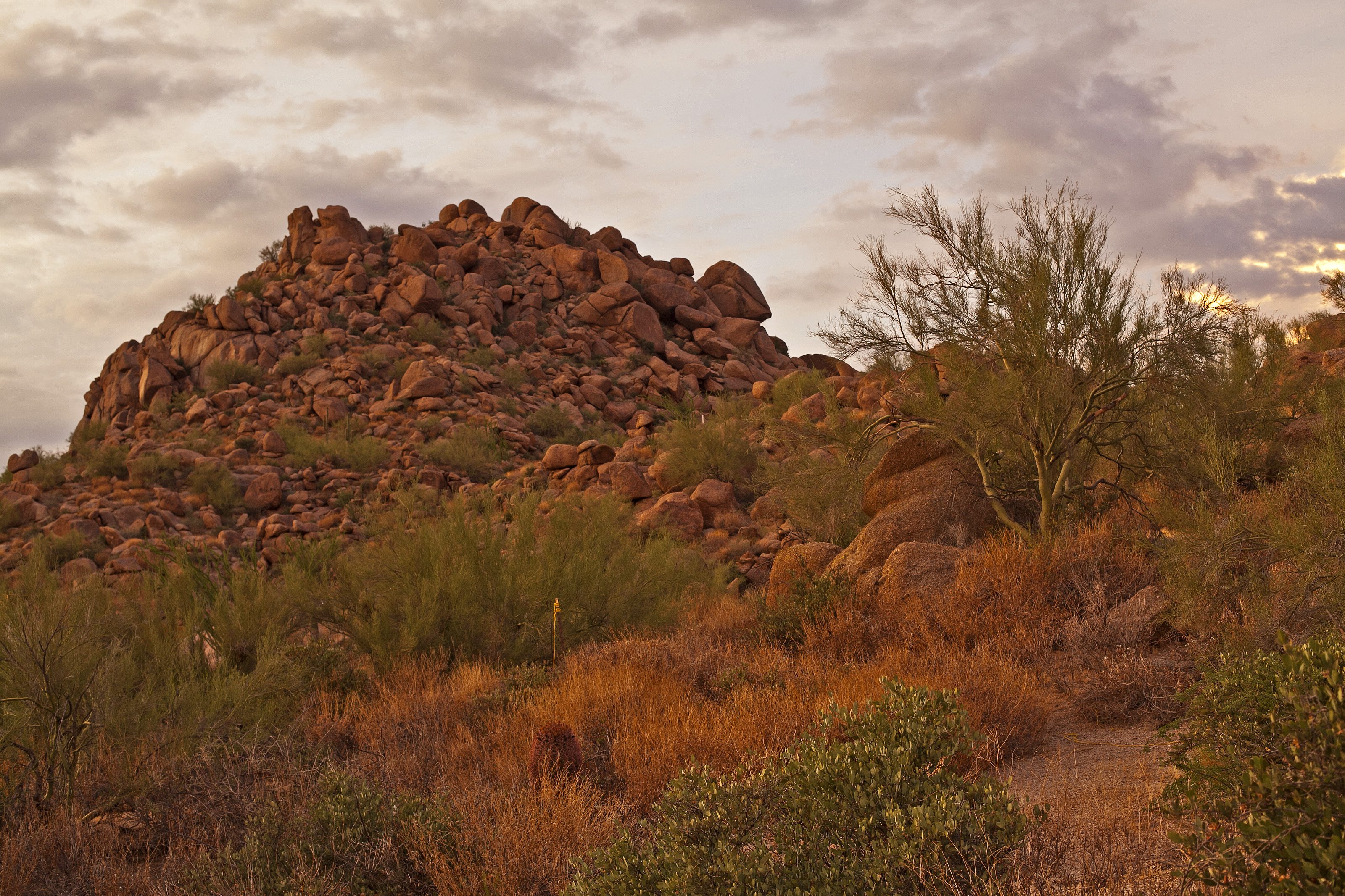 Pinnacle Peak Real Estate Photographer Four Seasons Lot.