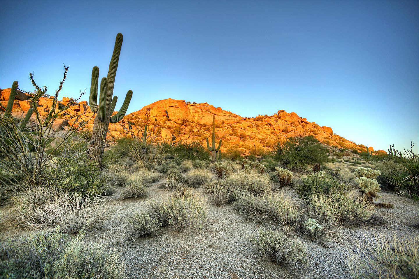 Pinnacle Peak Real Estate for sale in the Four Seasons