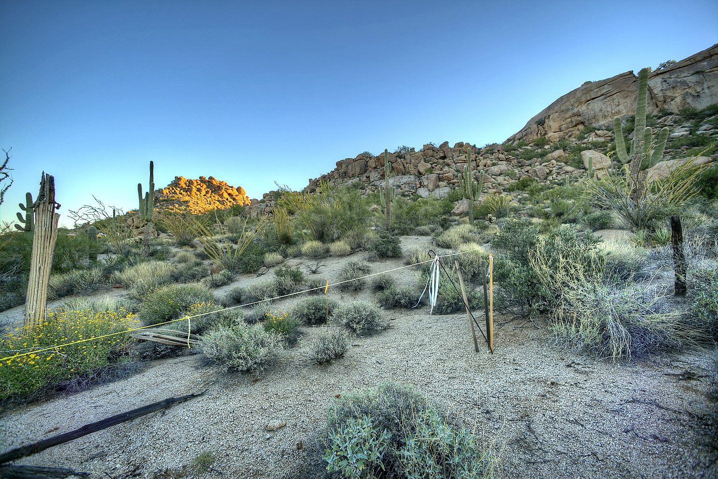 Pinnacle Peak Real Estate for sale in the Four Seasons