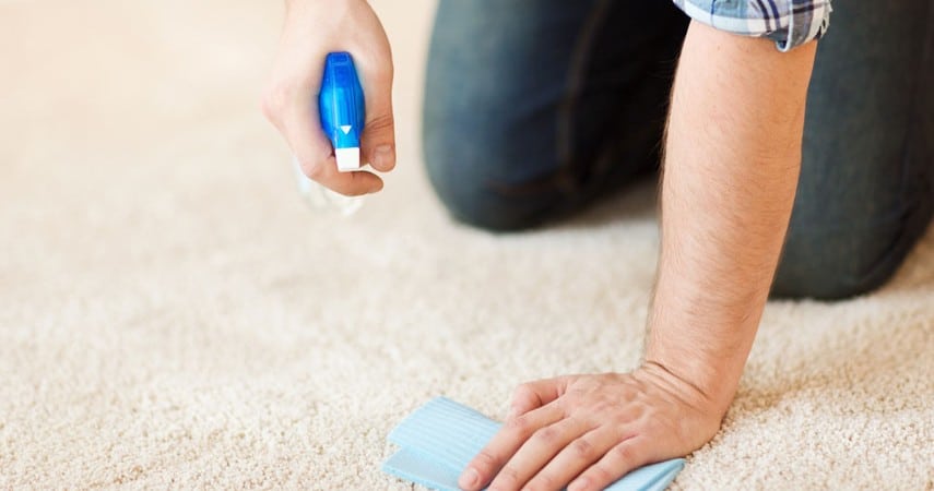How to Get Yellow Stains Out of Your Carpet Clean & Dry Sheffield